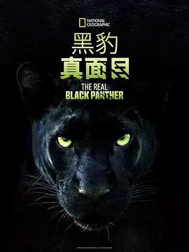 韩国电影美味人妻中文字