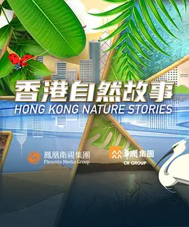 美女的真空福利直播
