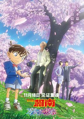 18禁院线视频宅男