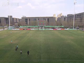 午夜干屄视频