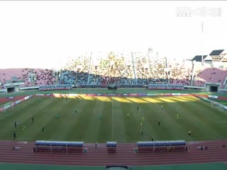成人无码一色