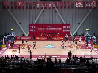伊大人综合视频在线