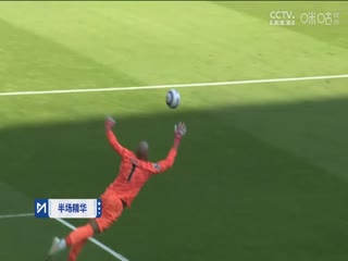 免费区欧美一级A片又黑又硬
