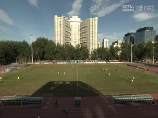 97精品牛牛在线