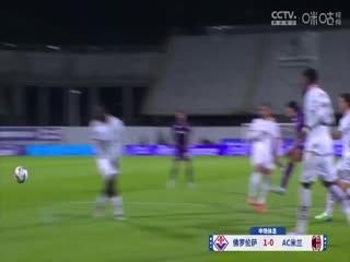 日韩小狼狗视频在线观看
