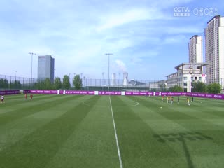 欧美挠脚心视频在线